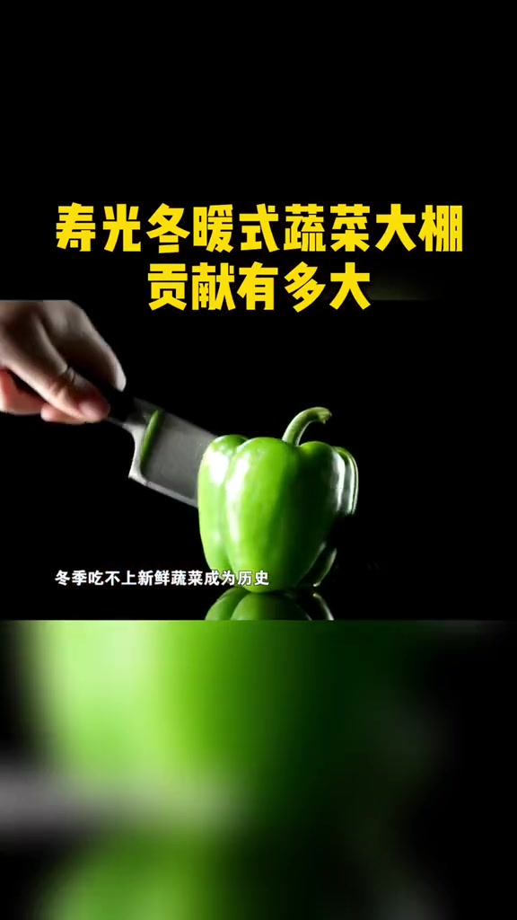 寿光冬暖式蔬菜大棚贡献有多大 寿光寿光 大棚