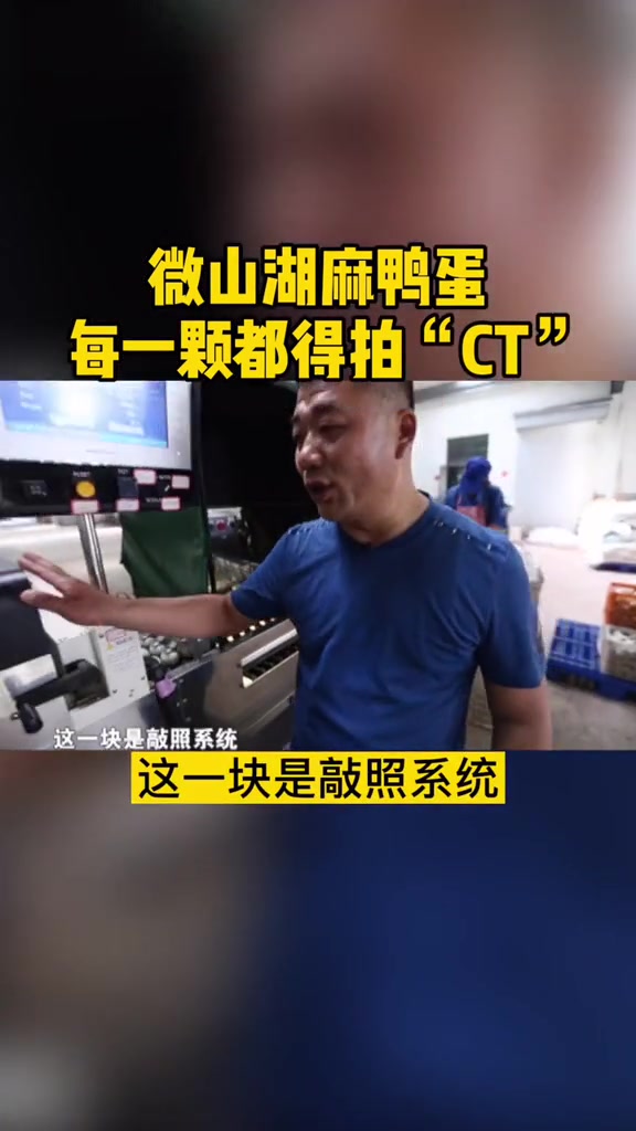 微山湖麻鸭蛋,每一颗都得拍“CT”