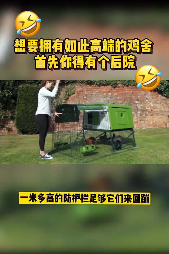 高端鸡舍,还配备小鸡仔的爬梯,要想拥有它,首先你得有个院子喔