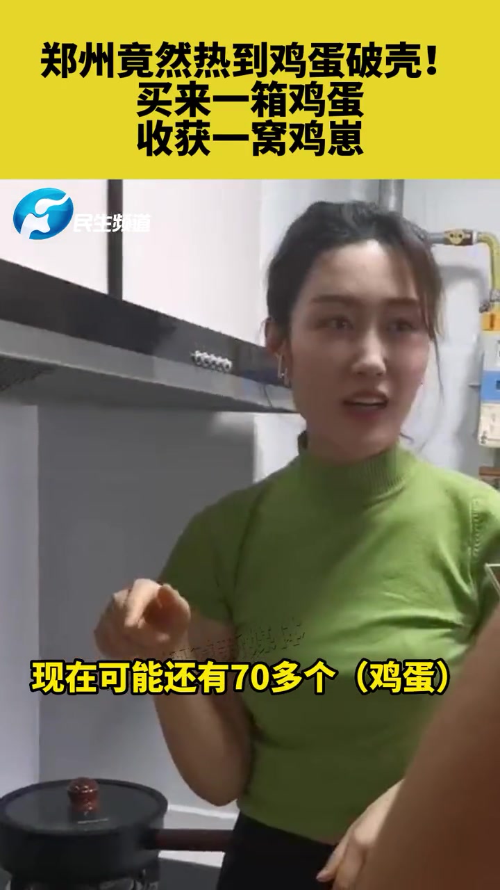 郑州竟然热到鸡蛋破壳!买来一箱鸡蛋,收获一窝鸡崽 小鸡 意不意外