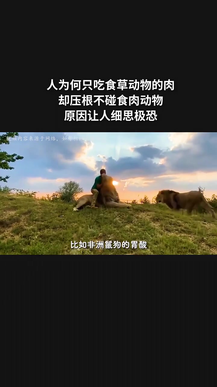 人为何只吃食草动物的肉?却压根不碰食肉动物?原因让人细思极恐