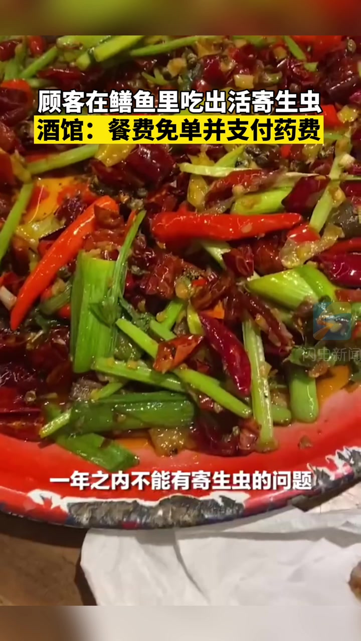 顾客在鳝鱼里吃出活寄生虫 酒馆:餐费免单并支付药费