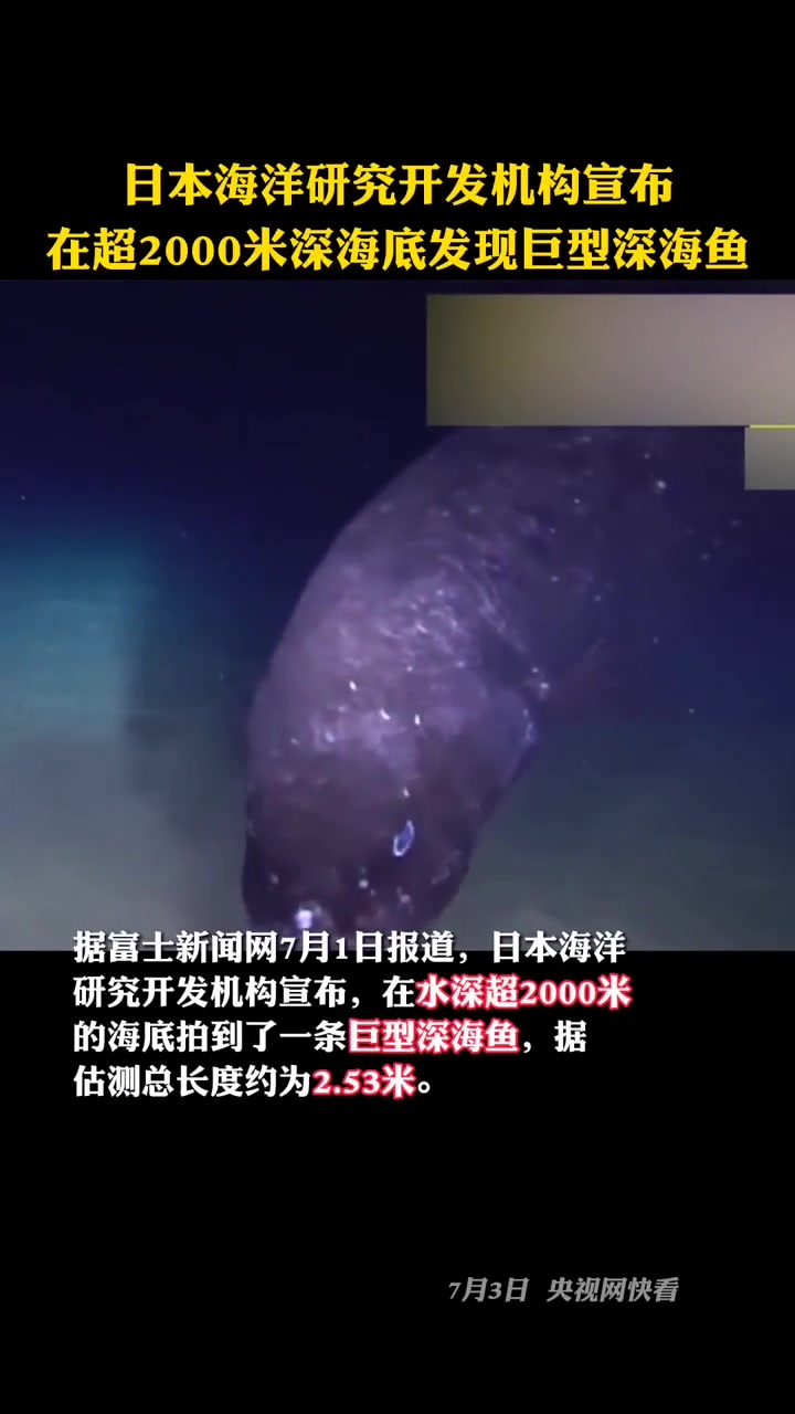 日本海洋研究开发机构在水深超2000米的海底发现巨型深海鱼