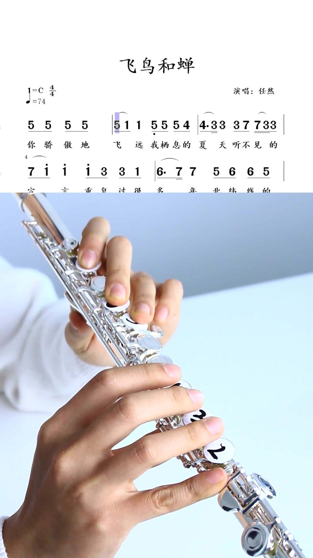 《飞鸟和蝉》长笛动态曲谱演示