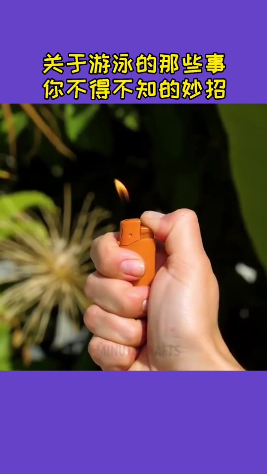 关于游泳的那些事,你不得不知～