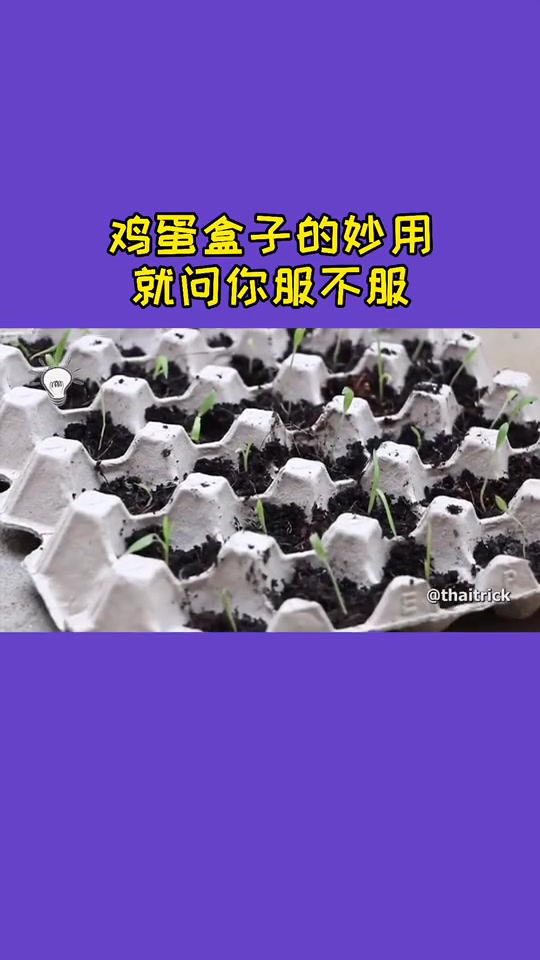 鸡蛋盒子的妙用,妈妈再也不会骂我什么都不会了～