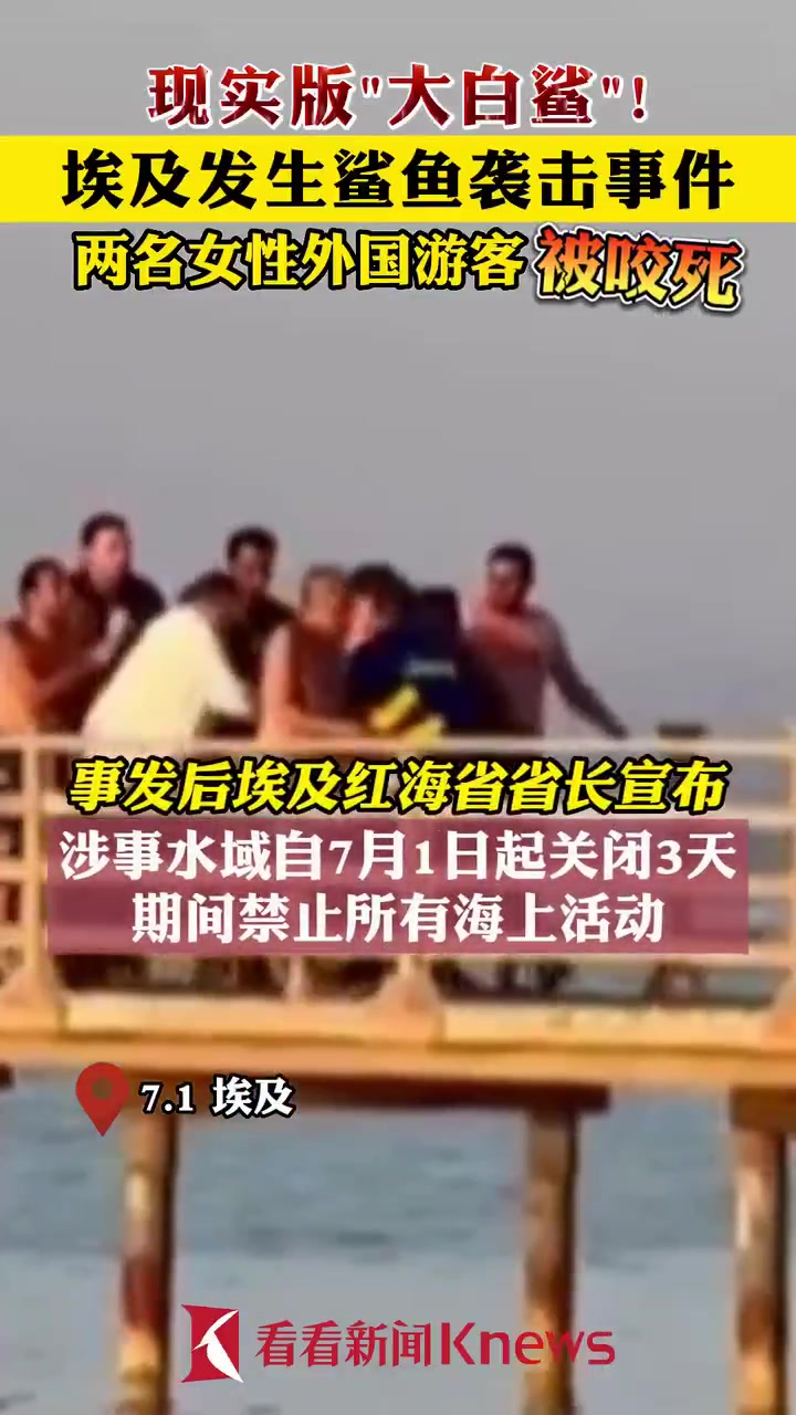 埃及发生鲨鱼袭击事件 两名外国女游客被咬死