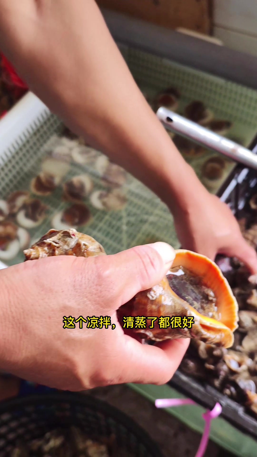 日照旅游吃海鲜是游客们的最爱,暑假休渔期能吃到什么活海鲜呢?