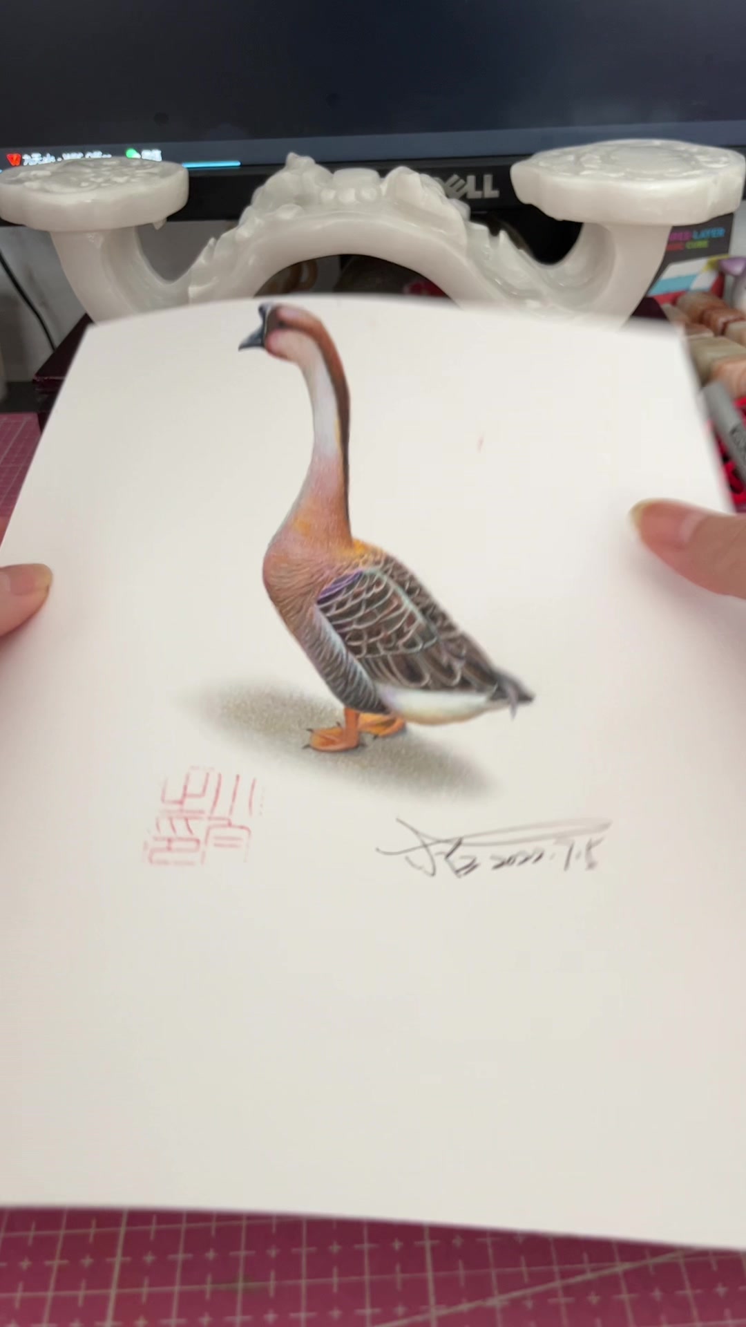 彩铅3D立体画——大鹅