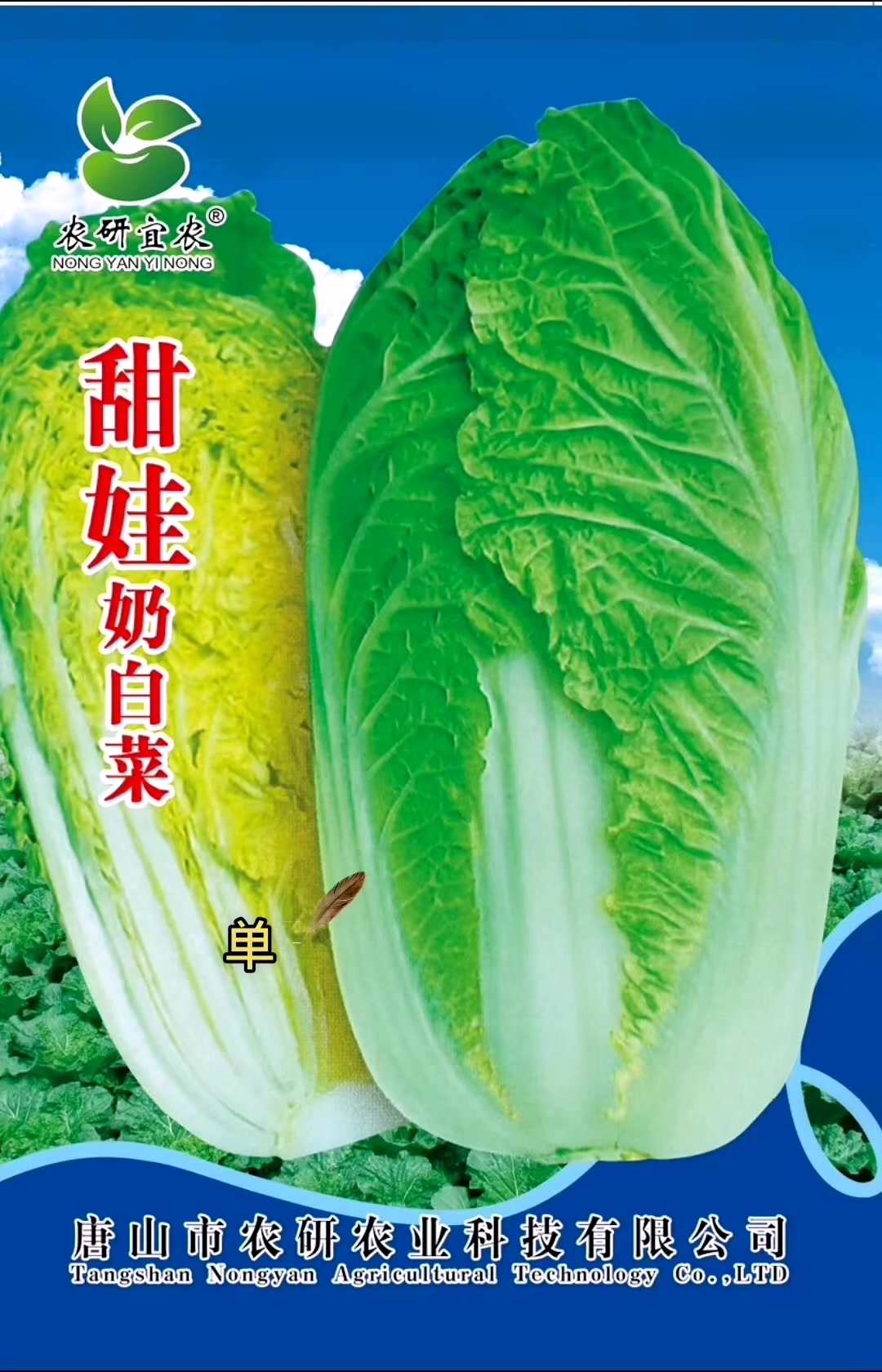 好吃的娃娃菜品种到了