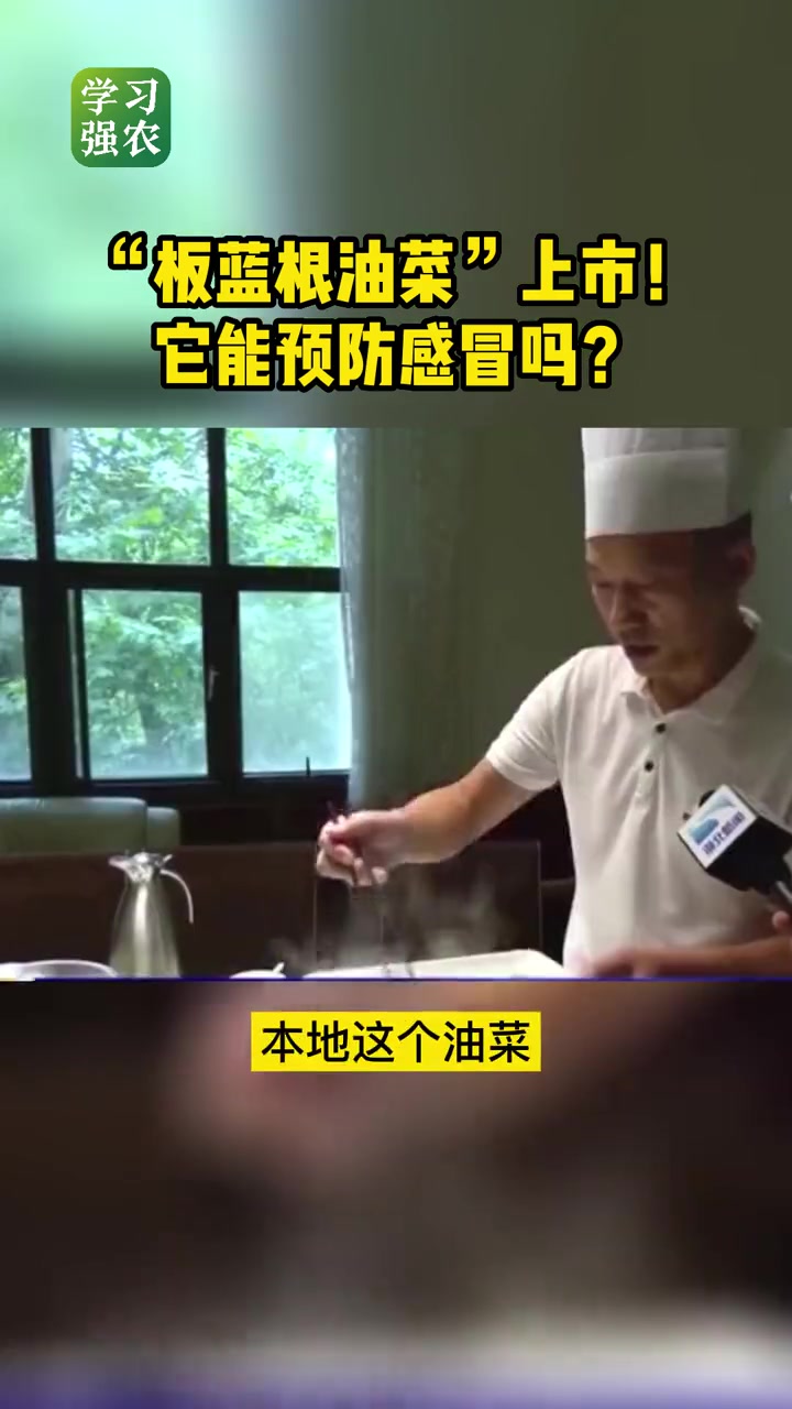 专家培育出“板蓝根青菜”。它是板蓝根,却长着油菜的模样;它是油菜,却有着板蓝根的抗病毒特性