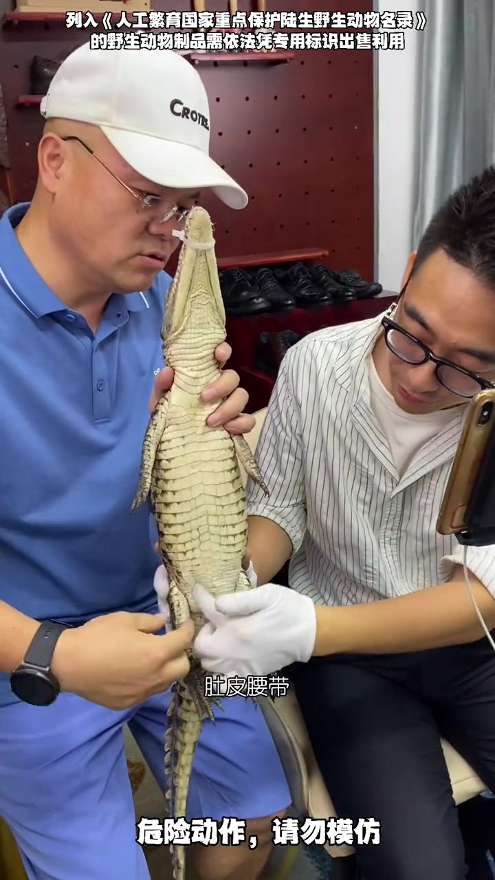 现场给你看看鳄鱼身上的皮带!鳄珍