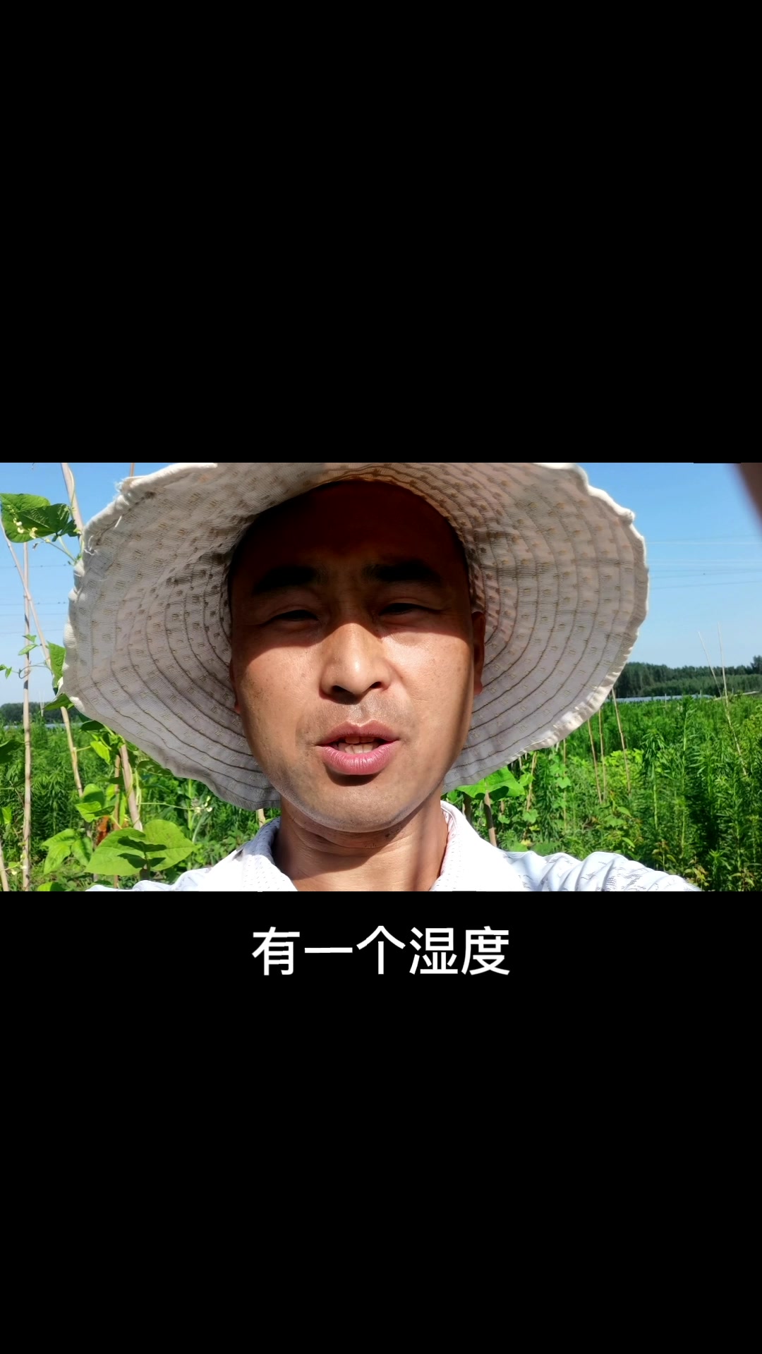 种植果树蔬菜使用的有机堆肥制作方法