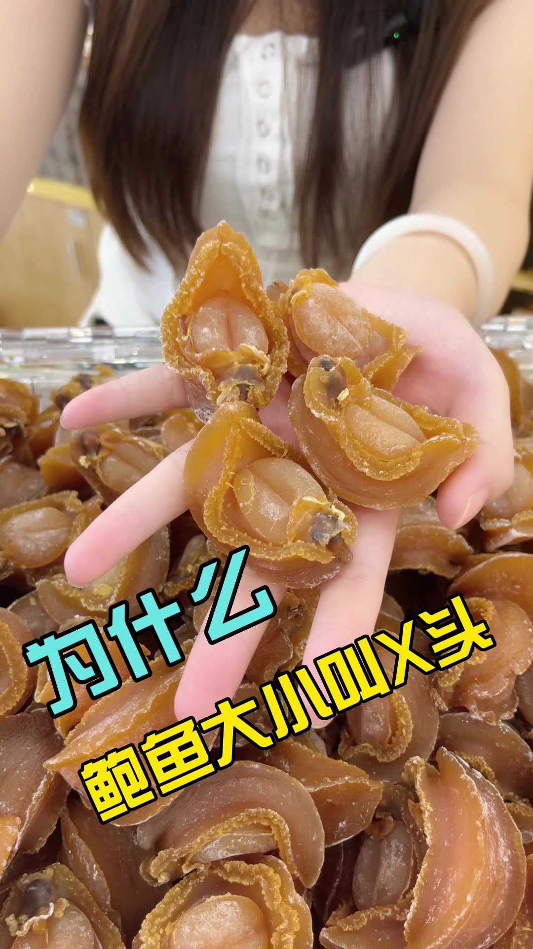 燕王爷鲍鱼几头鲍鱼区分教学