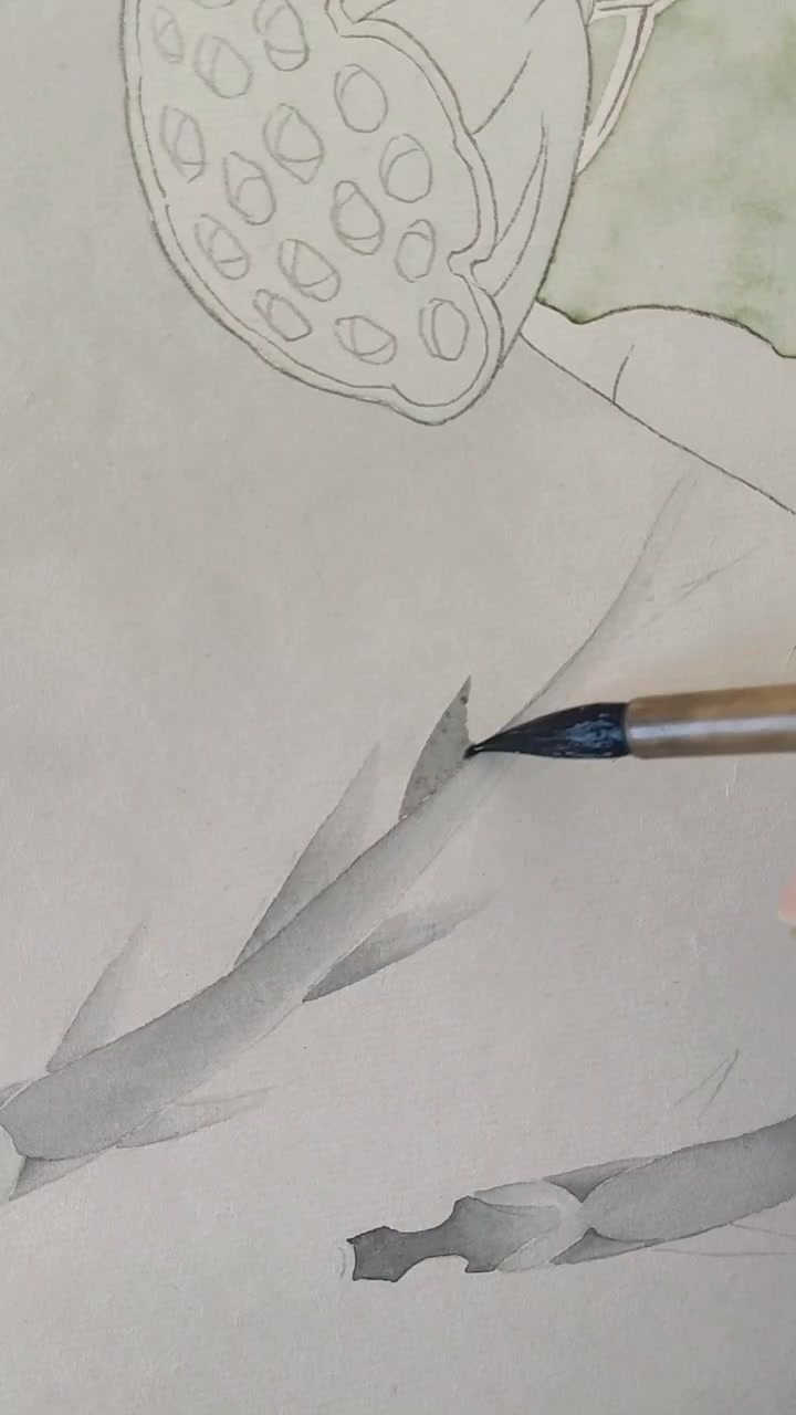 工笔画小鱼设色(2)