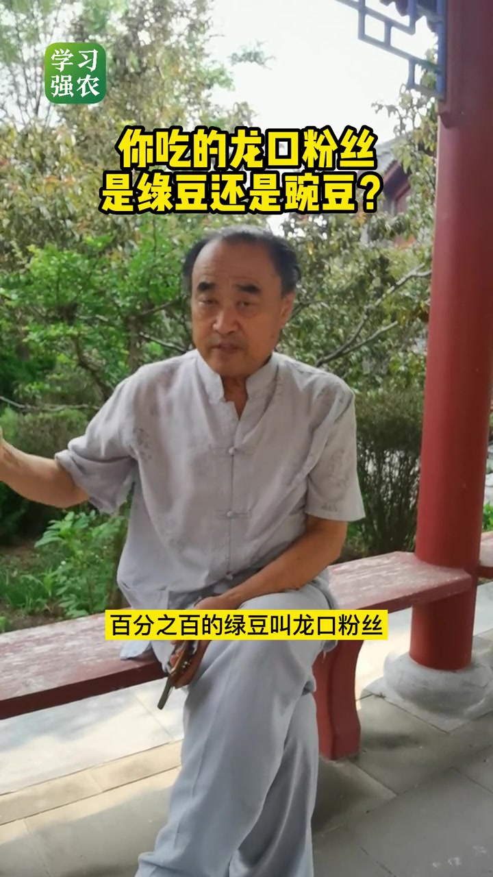 你吃的 龙口粉丝 是绿豆还是豌豆?