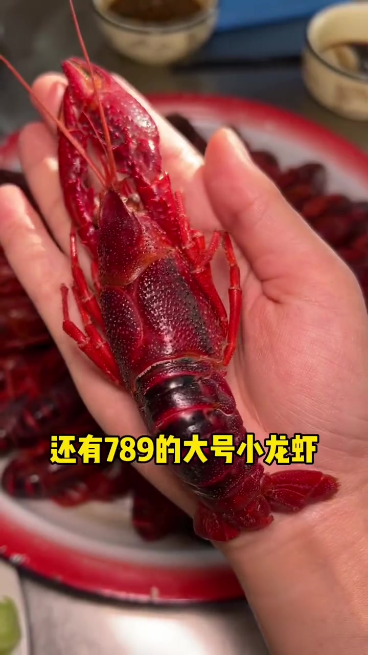 2块的炭烤大鱿鱼,99吃3斤789的小龙虾,李家坨还是有些耙活捡 心动重庆