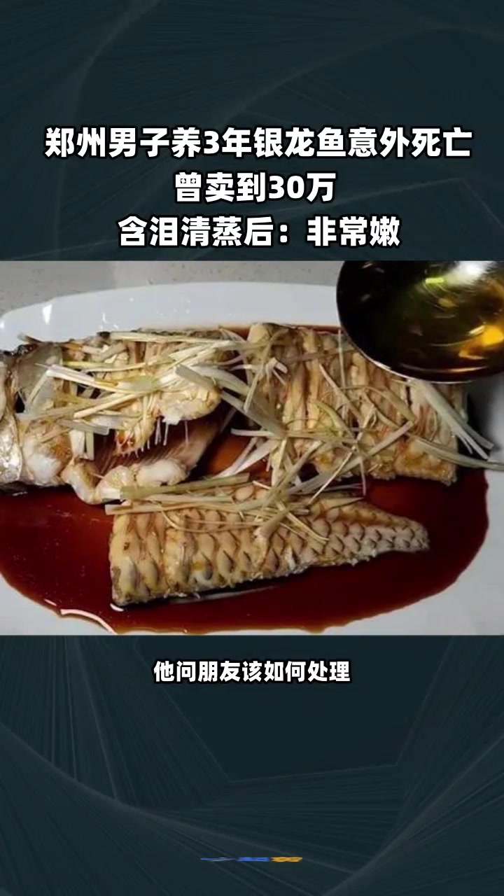 郑州男子养3年银龙鱼意外死亡,曾卖到30万 含泪清蒸后:非常嫩
