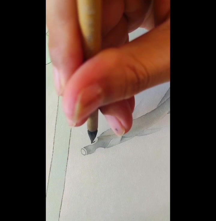 工笔画小鱼设色(3)