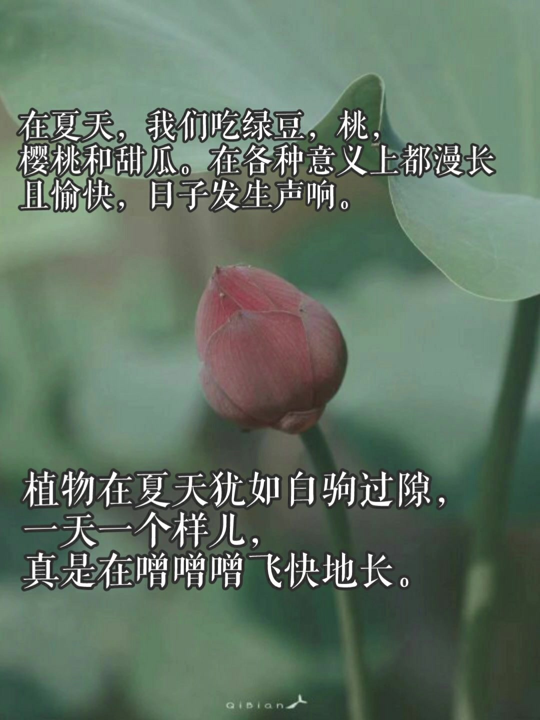 描写夏天的绝美句子!