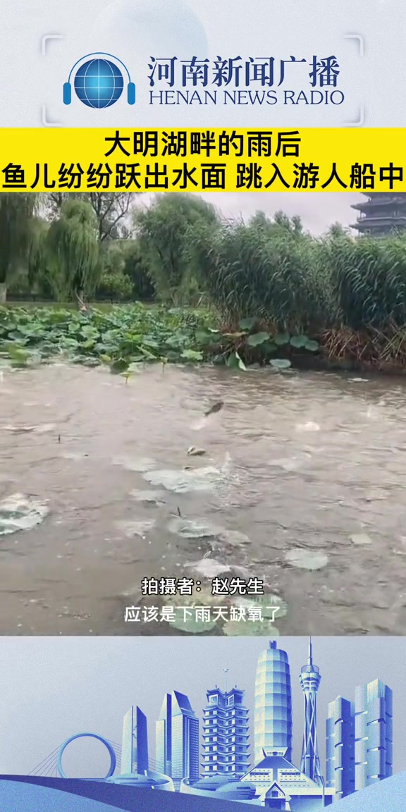 7月12日,山东济南,大明湖畔的雨后,鱼儿纷纷跃出水面,跳入游人船中