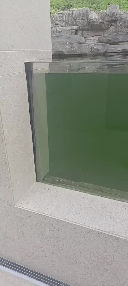 重庆亚克力鱼缸定制成品呈现