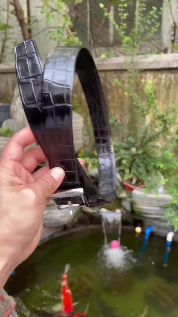 全鳄鱼皮腰带,亮面