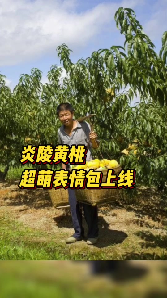 “炎陵黄桃”超萌表情包上线,就为“桃你喜欢”