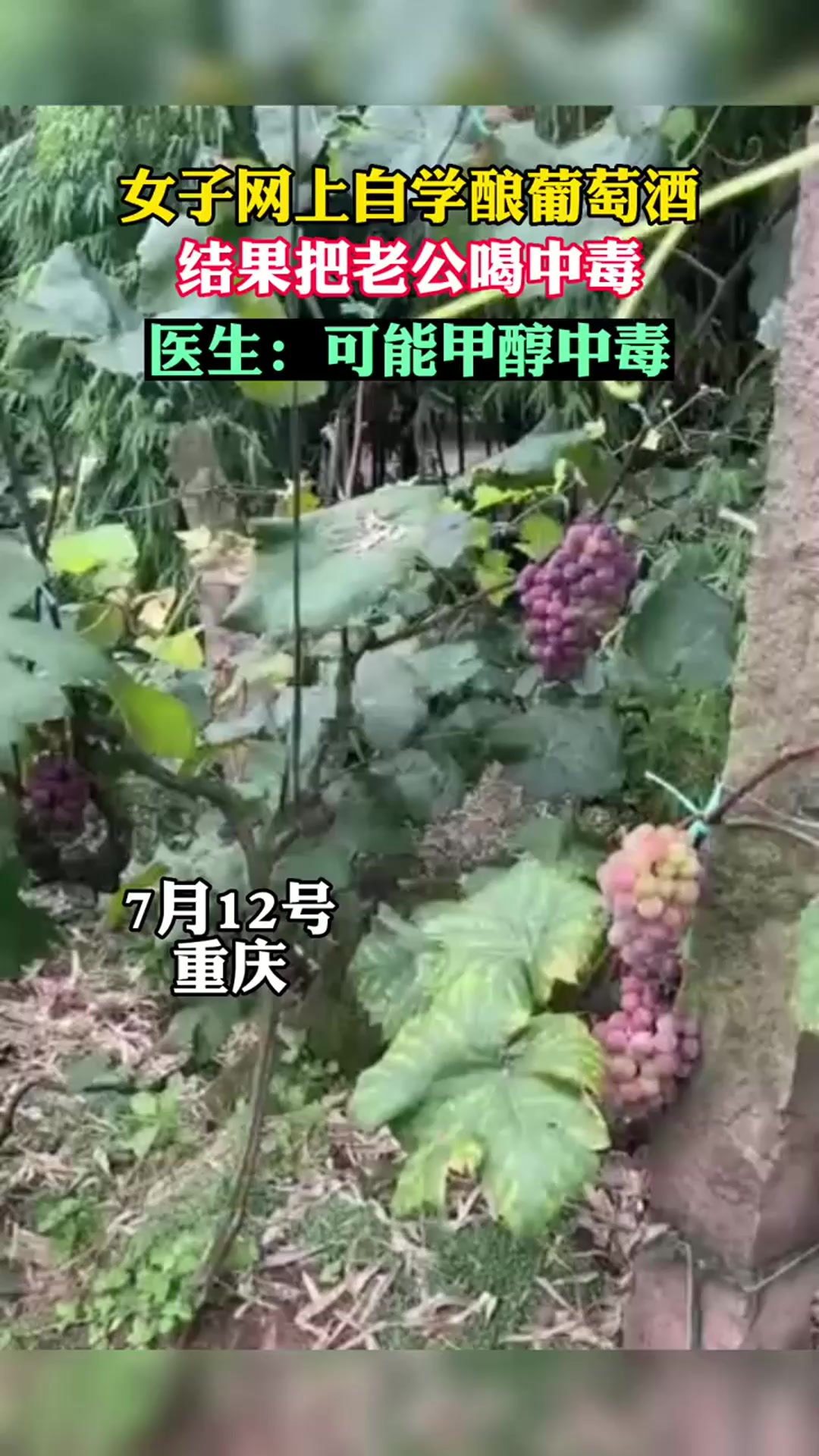 女子网上学酿葡萄酒,结果把老公喝中毒,医生:可能甲醇中毒