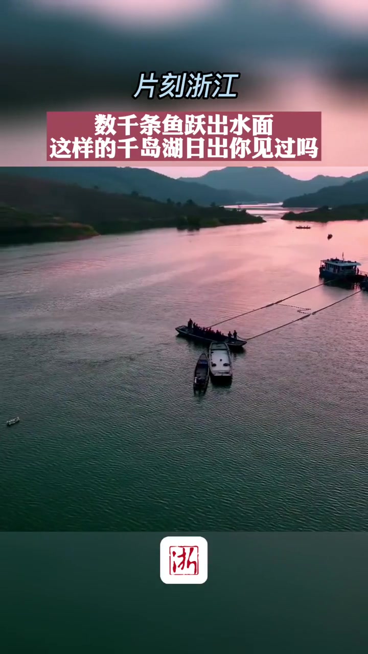 片刻浙江丨数千条鱼跃出水面 这样的千岛湖日出你见过吗?