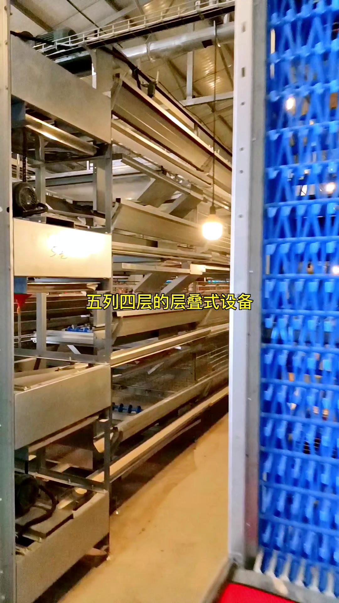 层叠式蛋鸡笼鸡舍的尺寸建议!