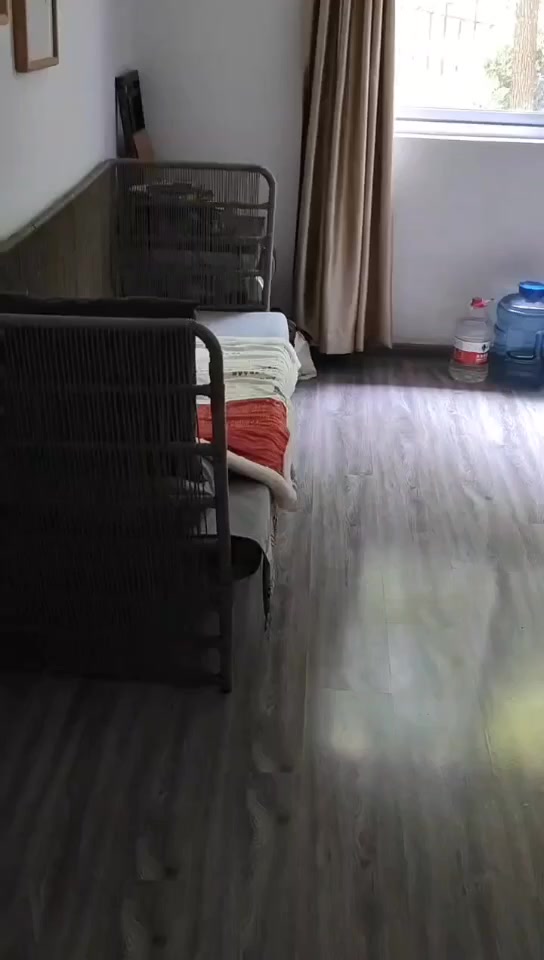 温州这位同学因“一床”录取通知书火了:晒的时候大家都知道