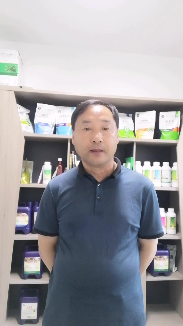 一日龄防控肌腺胃炎势在必行!