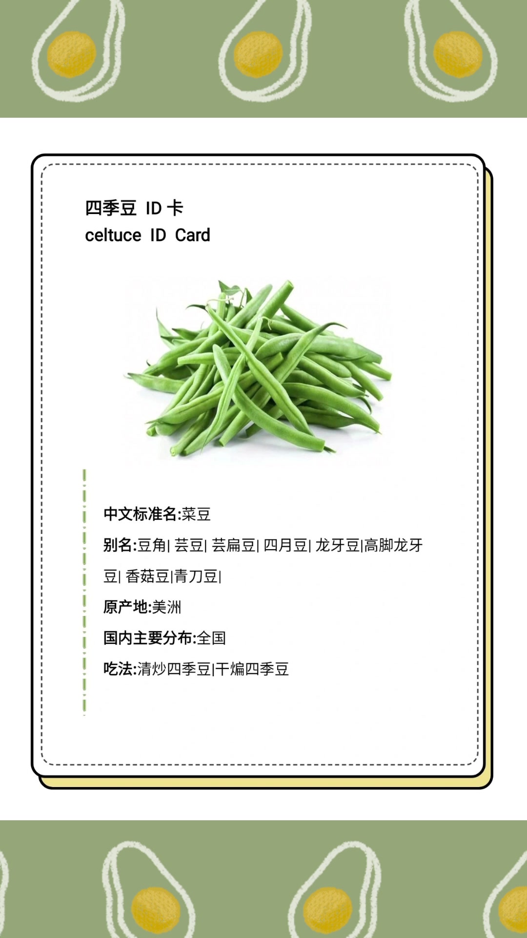 你们都是怎么区分【豆角们】的?都怎么吃(上)