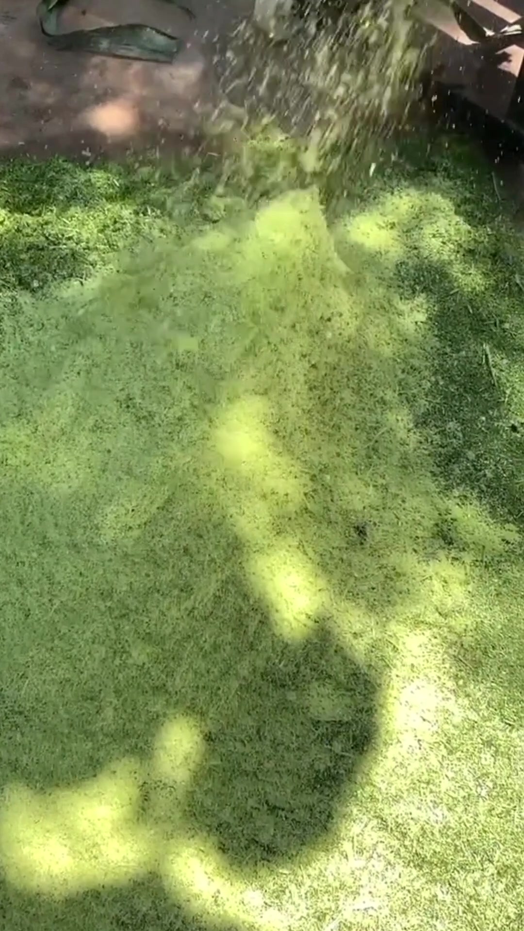 三农 家用牧草打浆机,超精细打浆机,适合猪鸡鸭鹅等养殖