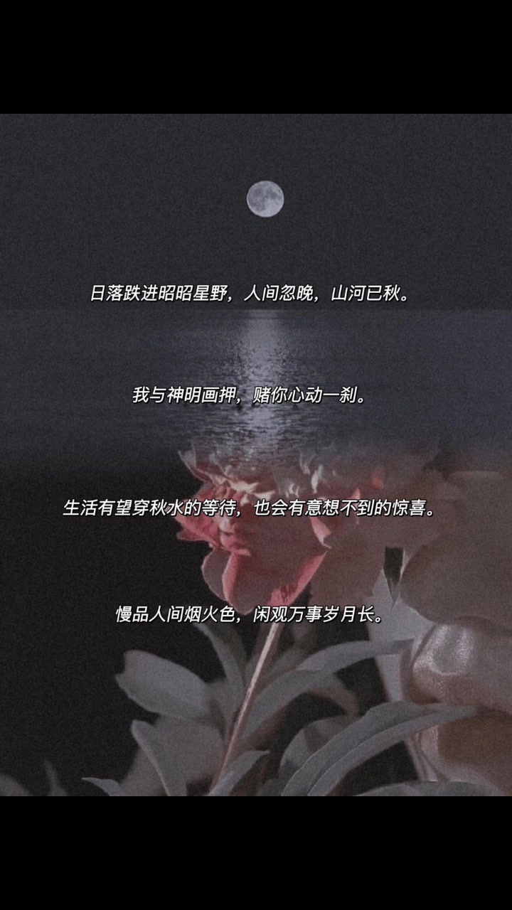 杂系小众简短文案