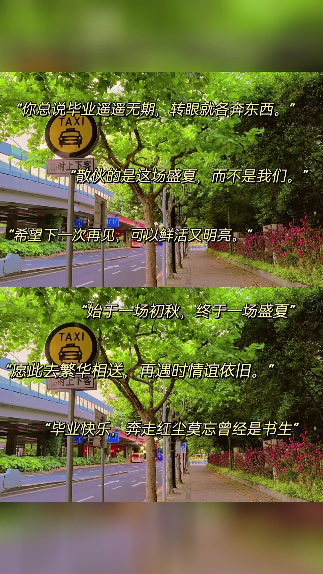 高级小众的毕业季文案