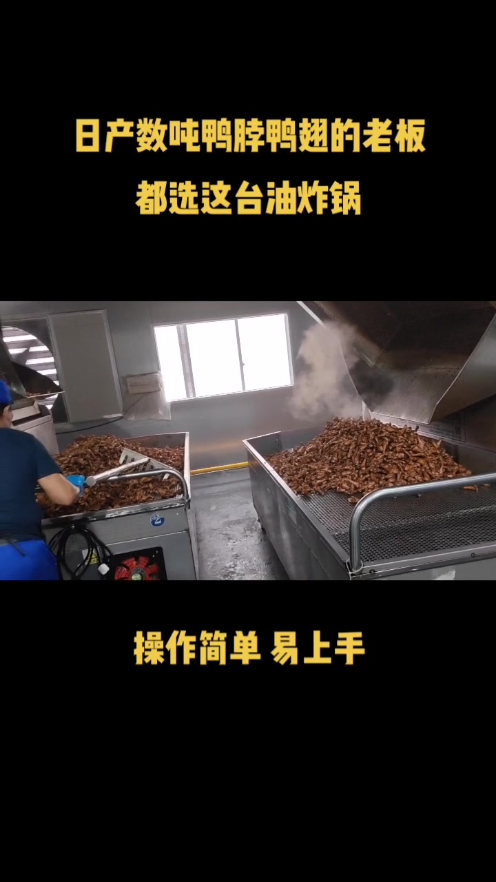 全自动油炸机 鸭脖鸭翅油炸锅
