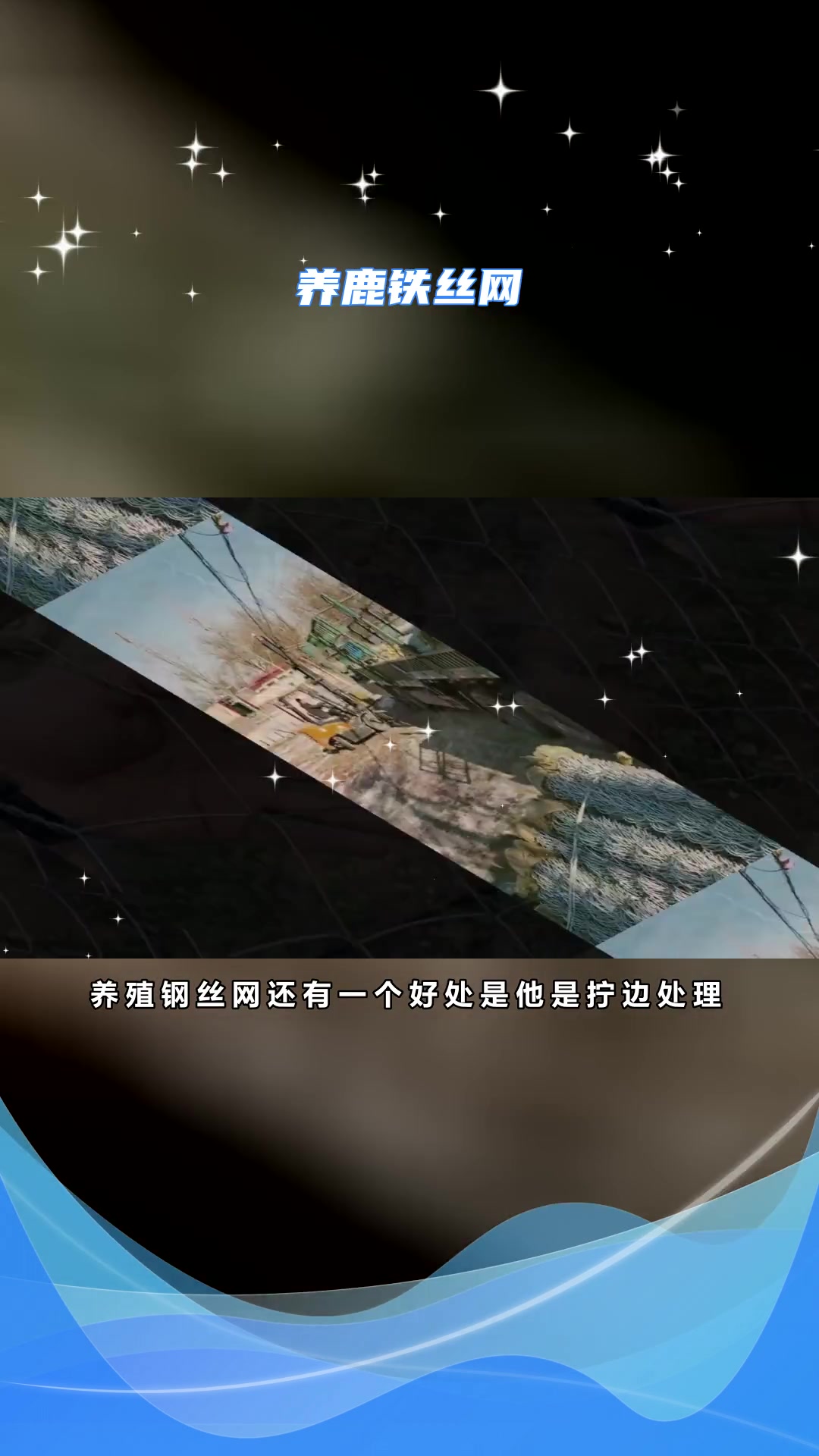 养鸡专用铁丝网
