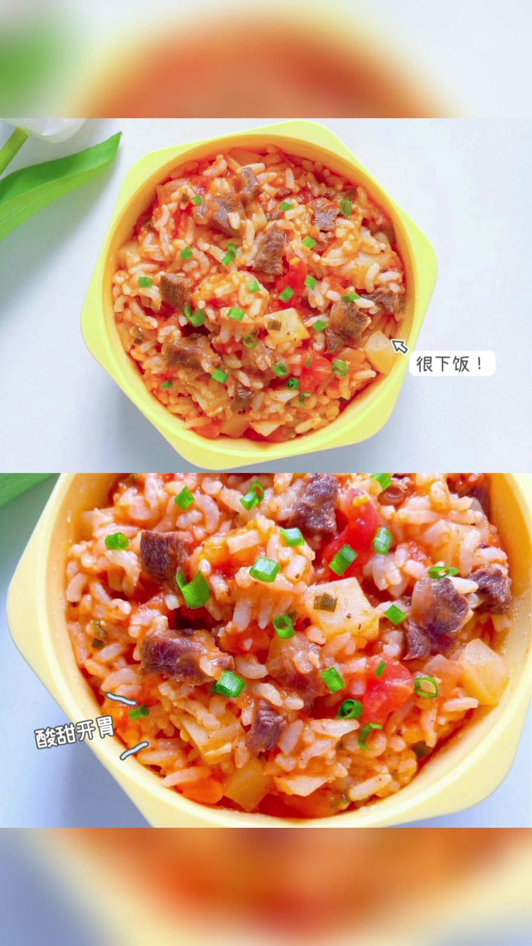 番茄土豆炖牛肉饭