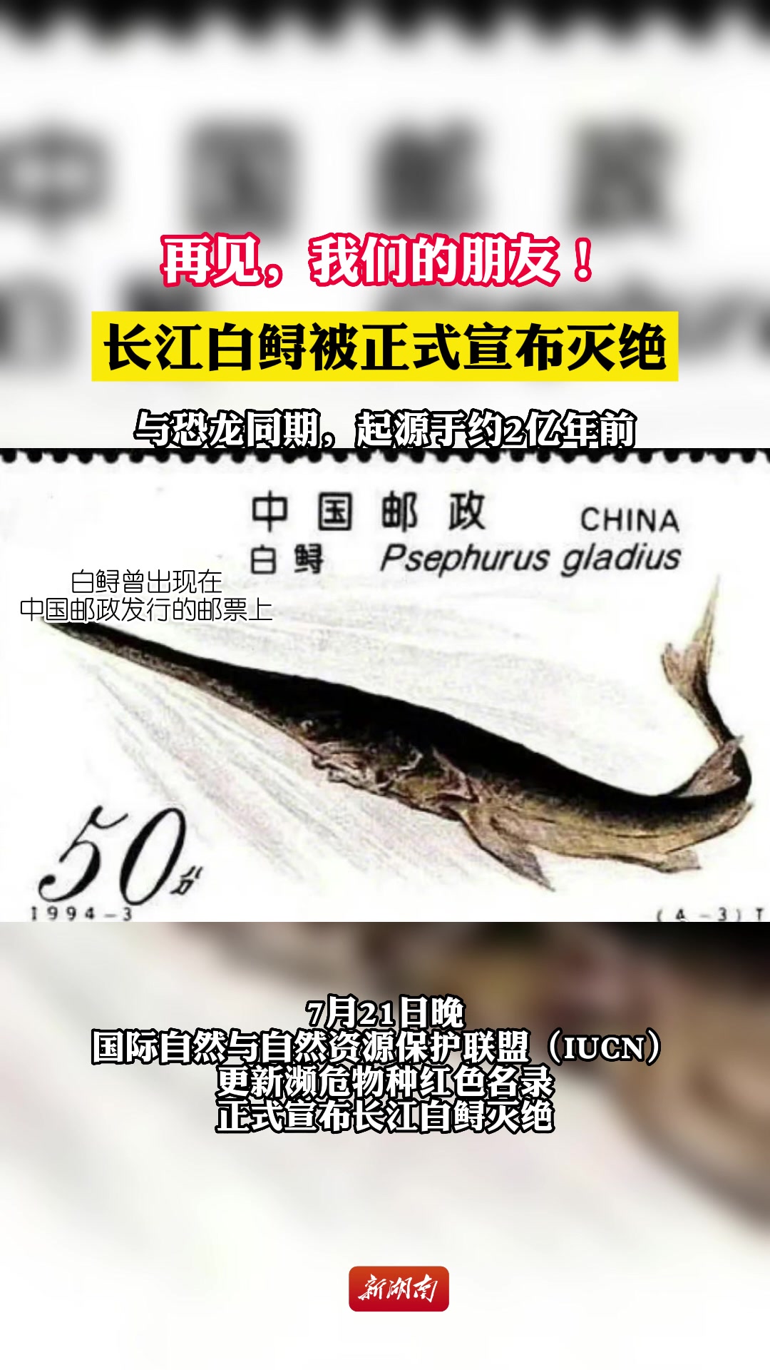 再见,我们的朋友!长江白鲟被正式宣布灭绝