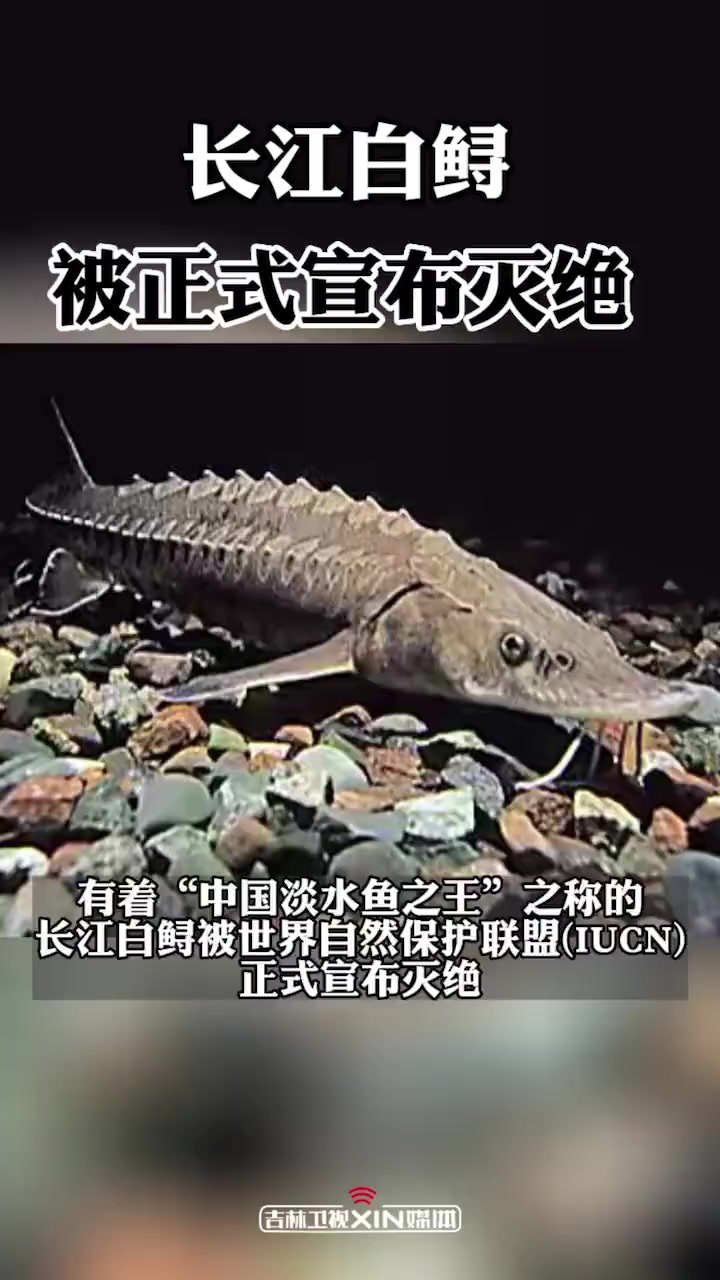 7月21日,国际自然与自然资源保护联盟(IUCN)发布全球濒危物种红色目录更新报告,宣布长