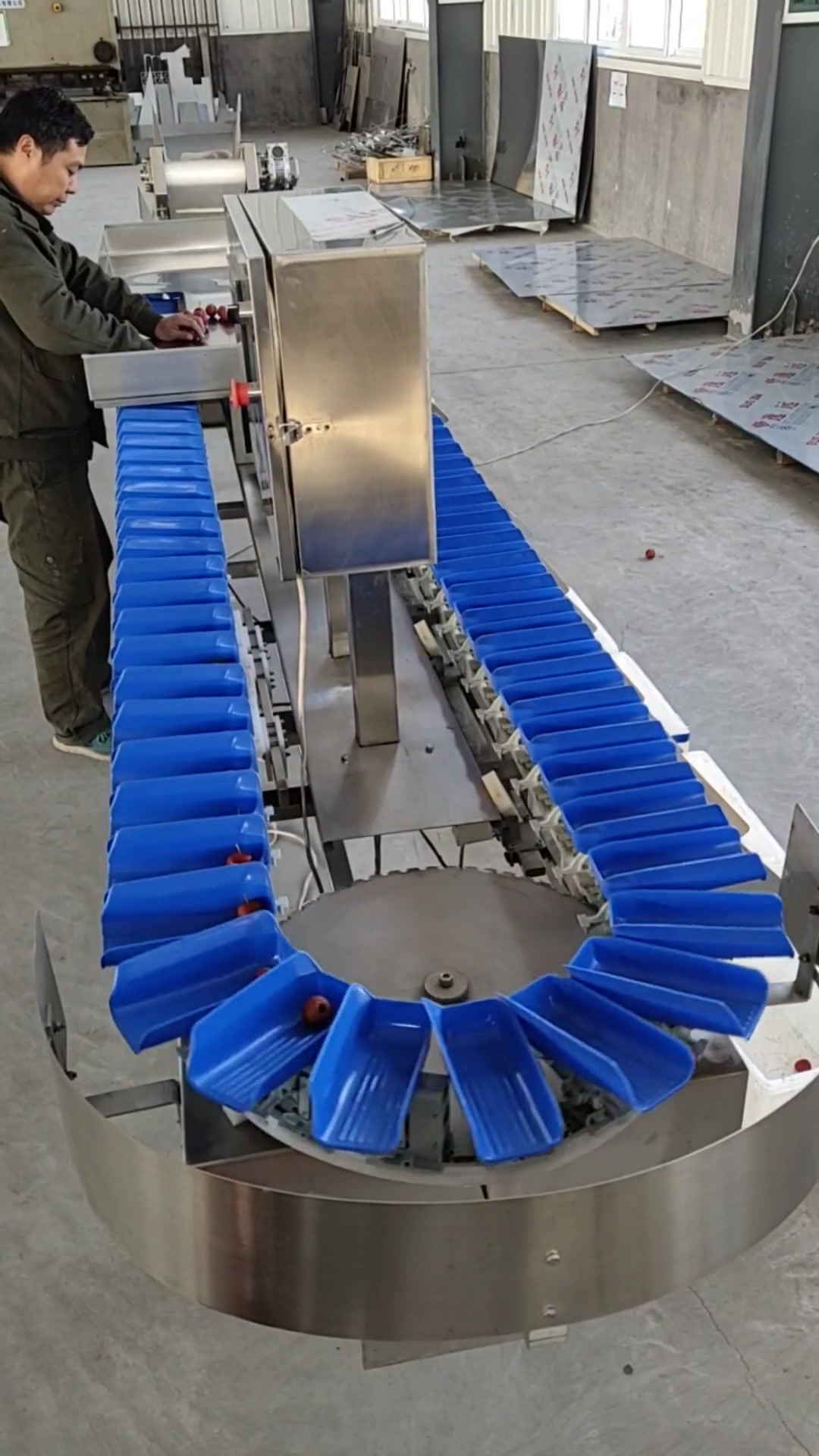 螃蟹分级机 果蔬分选设备 玉米橙子土豆自动分拣机 爱克森 重量分类机 分选机