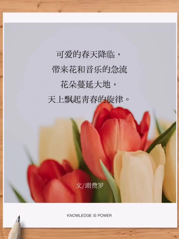 鲜花的文案你拿去发朋友圈吧!