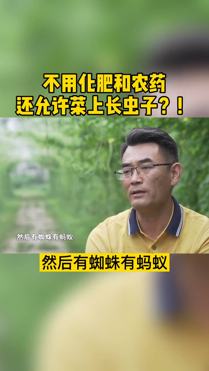 不用化肥也不用农药,长出来的菜还允许有虫子,这是打的什么算盘。