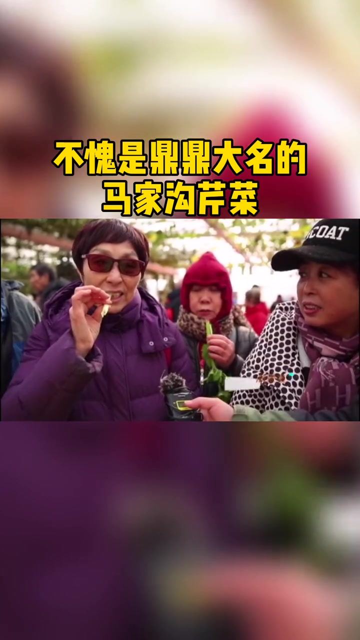 不愧是鼎鼎大名的 马家沟芹菜