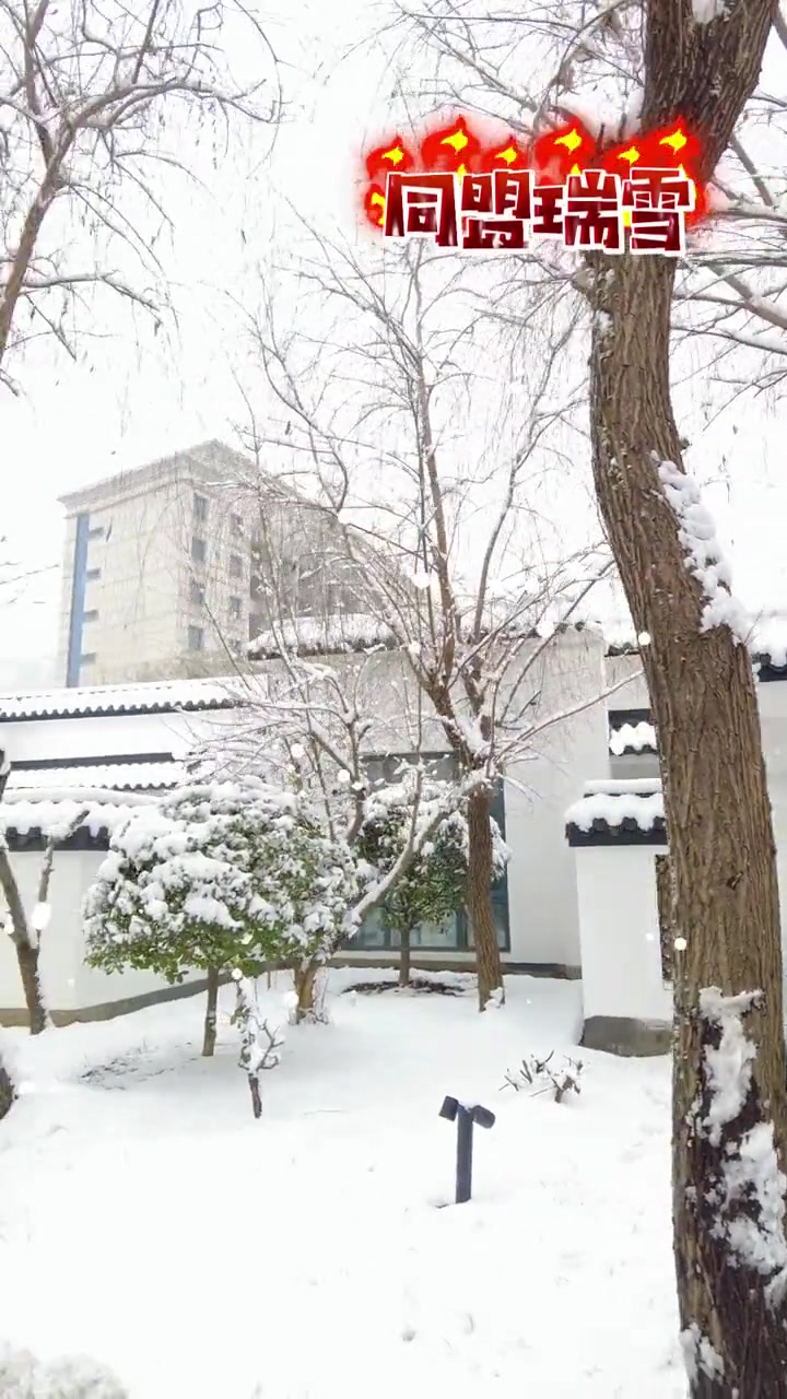 获嘉同盟