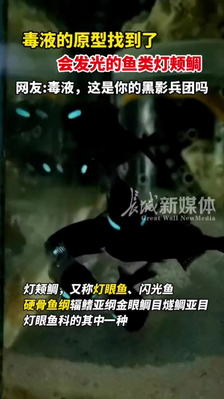 毒液的原型找到了会发光的鱼类灯颊鲷 网友:毒液,这是你的黑影兵团吗?