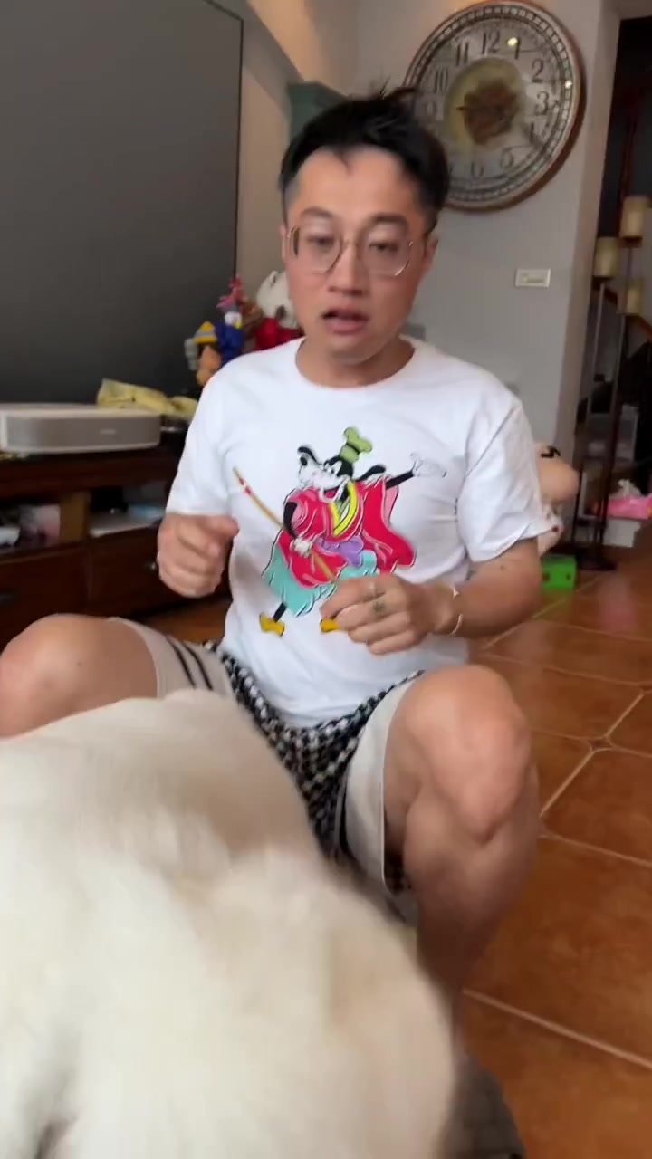 又是和主人斗智斗勇的一天 萌宠头像 宠物达人创作营