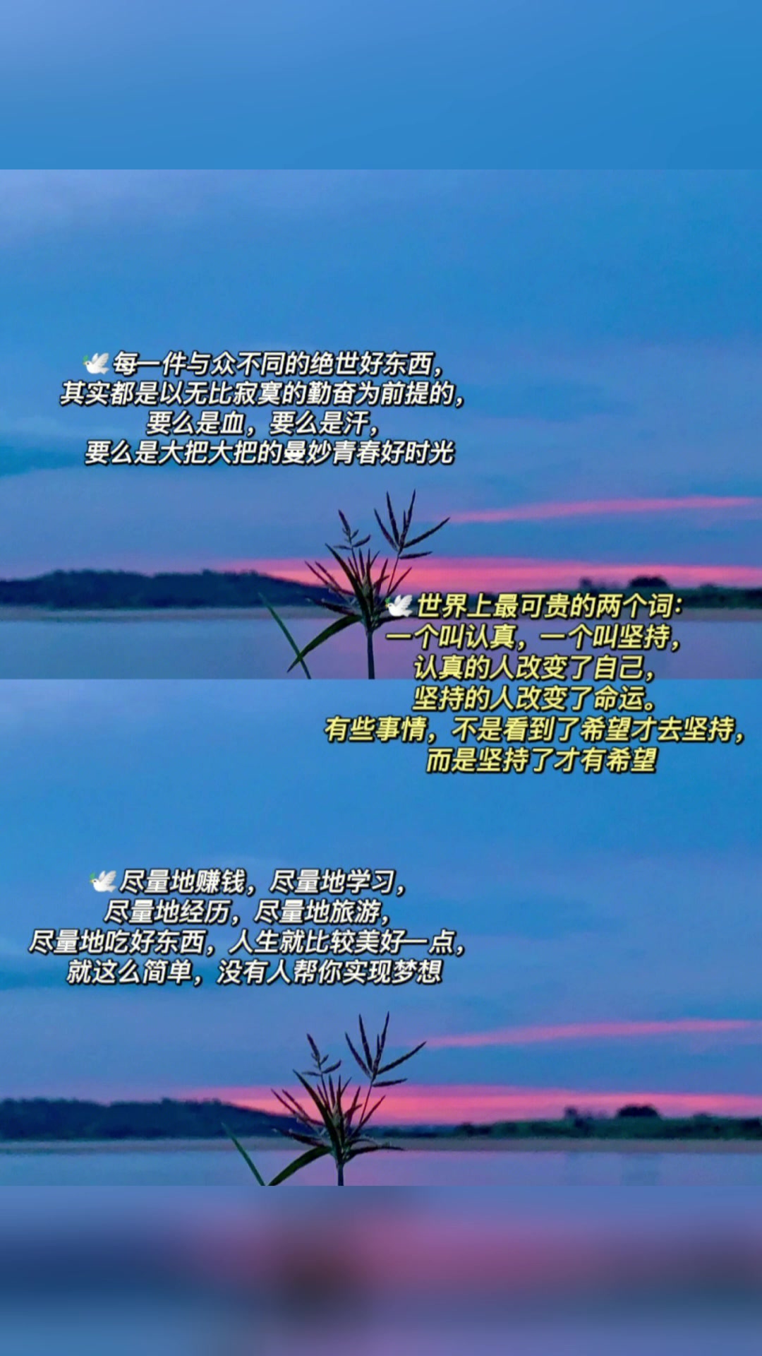阳光正能量的励志句子